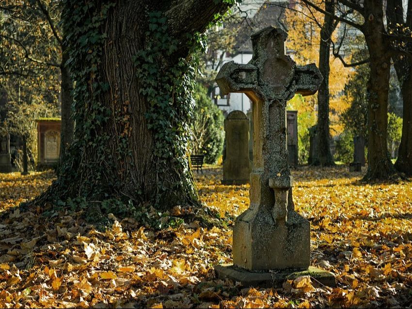 columbia sc rent to own